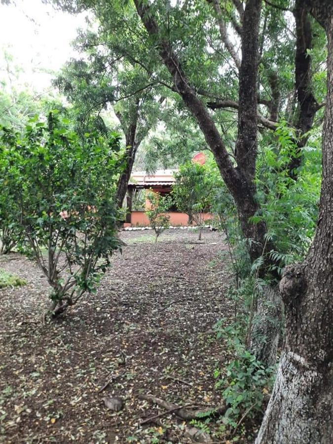 Nasu Lodge ลาครูซ ภายนอก รูปภาพ