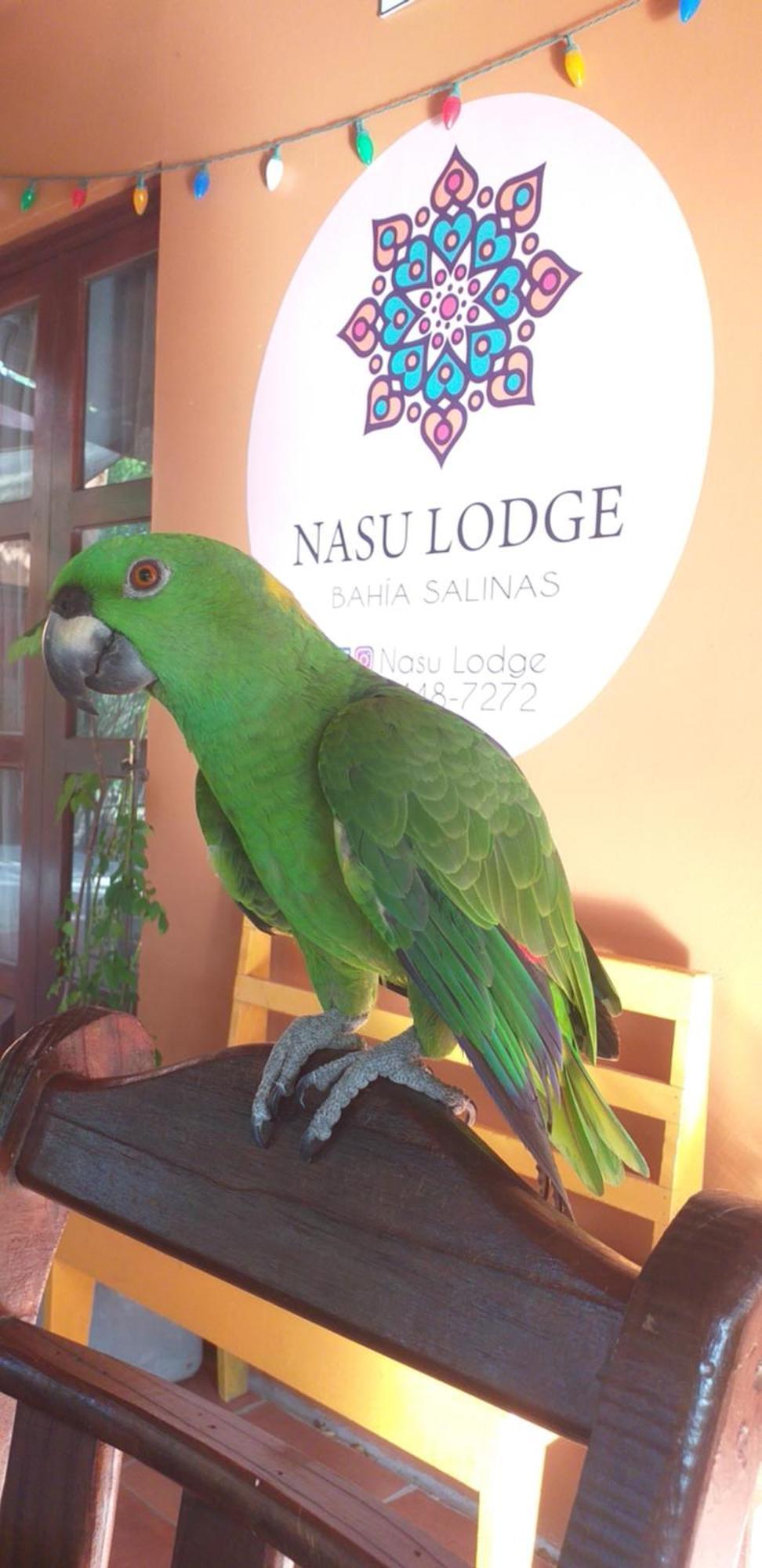 Nasu Lodge ลาครูซ ภายนอก รูปภาพ